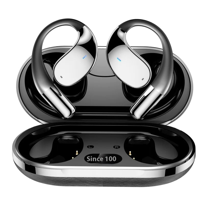 AI translator Earbuds - 100+ Languages
